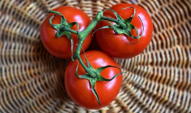 pomodoro